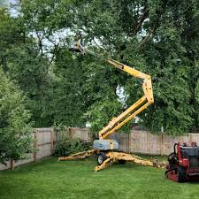 Best Storm Damage Tree Cleanup  in Adrian, MN
